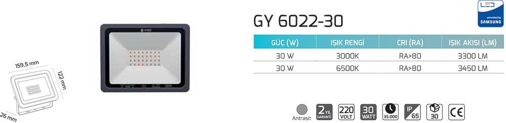 Goya Gy 6022-30 30 Watt Led Projektör